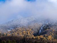 Nebel an frisch verschneitem Berg mit leuchtenden Lärchen - Mittleres Priental